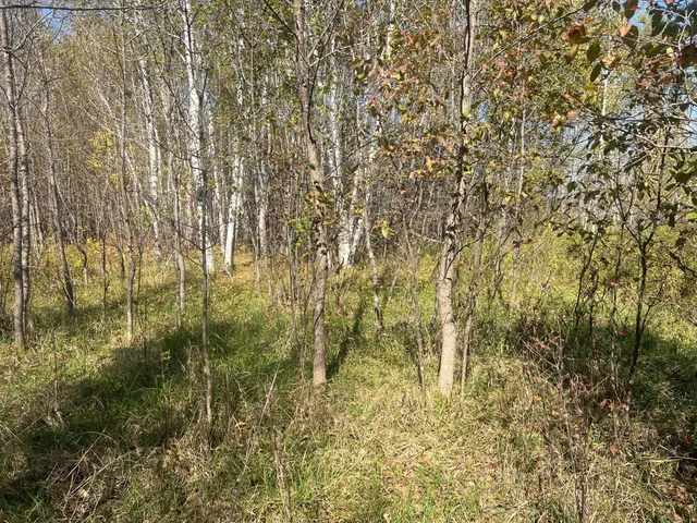 $119,900 | 0 County Highway, Hinckley, MN 55037