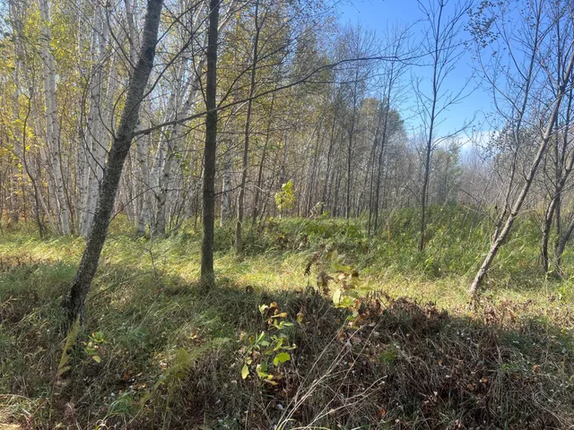 $119,900 | 0 County Highway, Hinckley, MN 55037