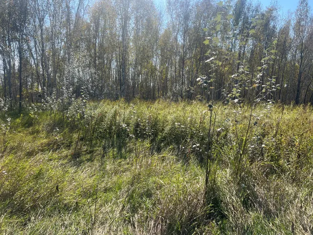 $119,900 | 0 County Highway, Hinckley, MN 55037