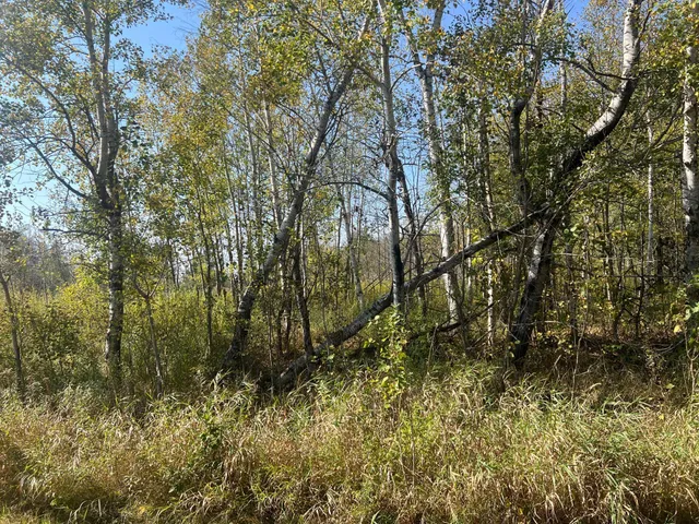 $119,900 | 0 County Highway, Hinckley, MN 55037