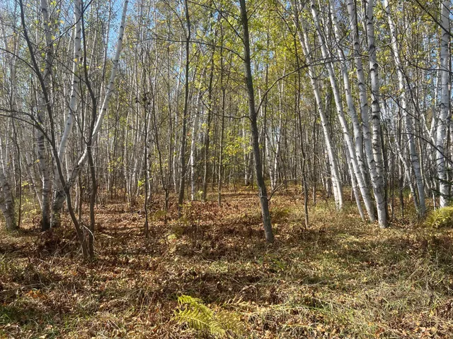 $119,900 | 0 County Highway, Hinckley, MN 55037