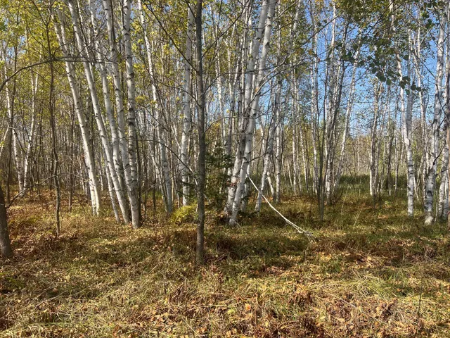 $119,900 | 0 County Highway, Hinckley, MN 55037