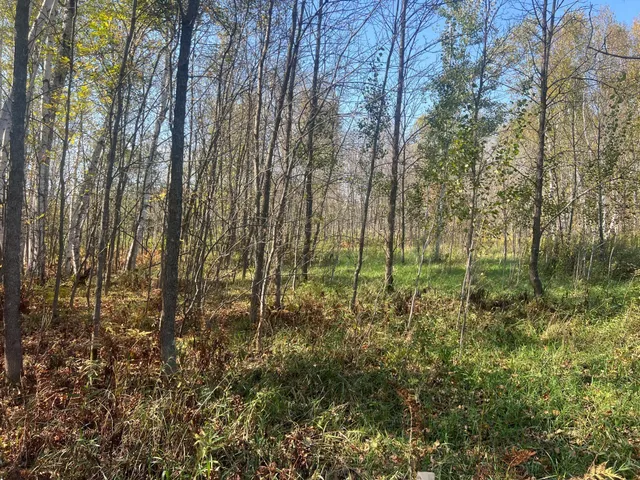 $119,900 | 0 County Highway, Hinckley, MN 55037