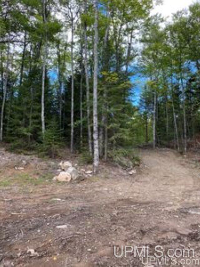 Tbd Red Road Michigamme, MI 49861 - Photo 3 of 10 Gallery Image 3