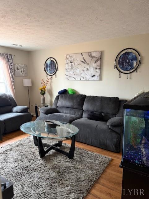 1822 Wards Ferry Road, Unit A&B Lynchburg, VA 24502 - Photo 13 of 31 a living room with furniture and a rug