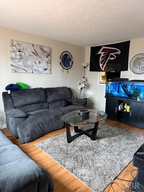 1822 Wards Ferry Road, Unit A&B Lynchburg, VA 24502 - Photo 14 of 31 a living room with furniture and a couch