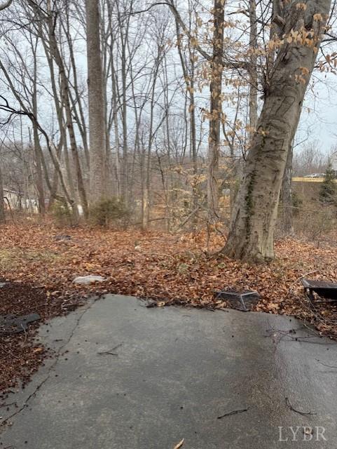1822 Wards Ferry Road, Unit A&B Lynchburg, VA 24502 - Photo 31 of 31 a view of a yard with trees
