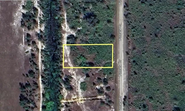 an outdoor view from a window