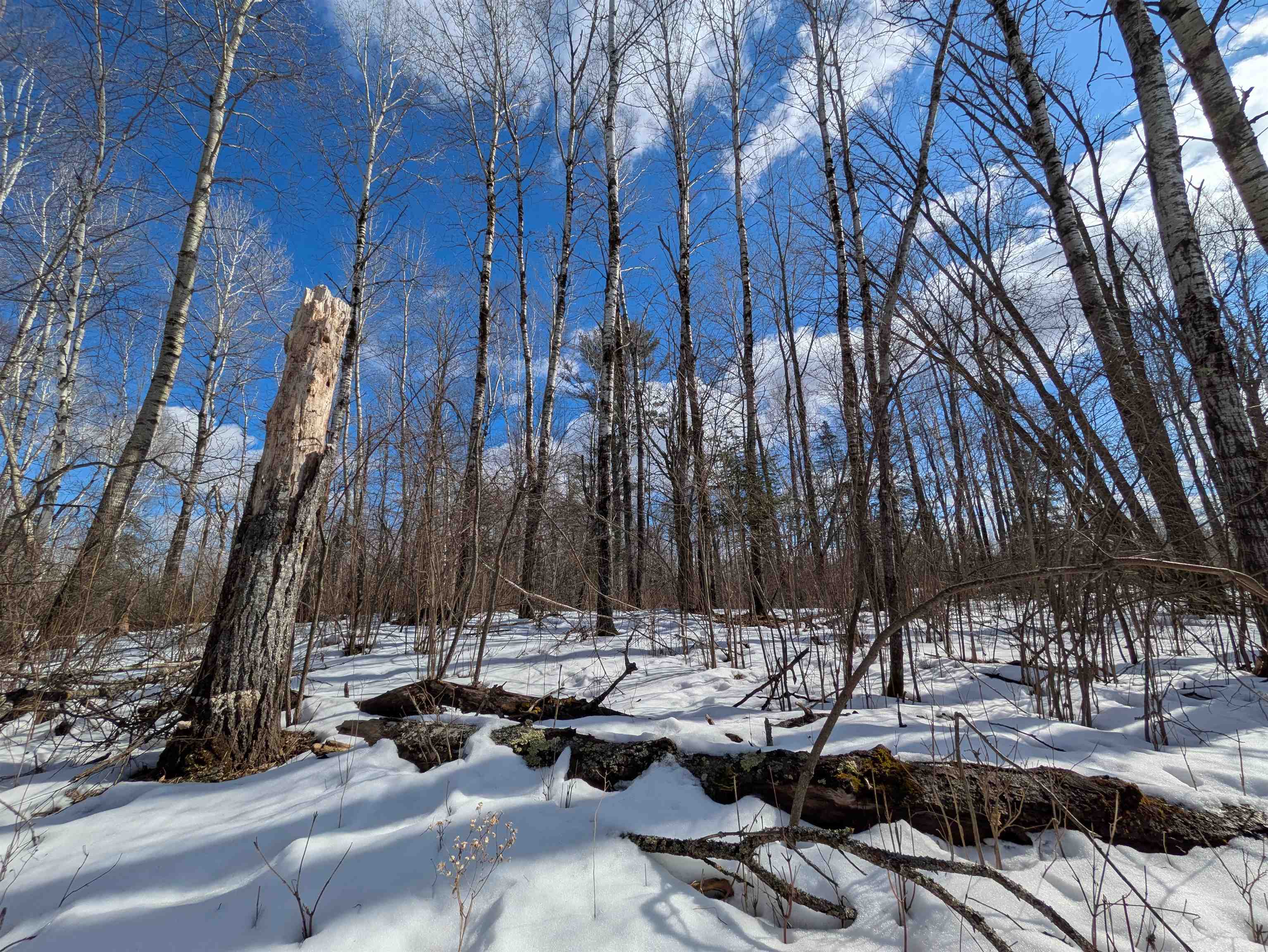 103 County Road 103 Barnum, MN 55707 - Photo 11 of 13