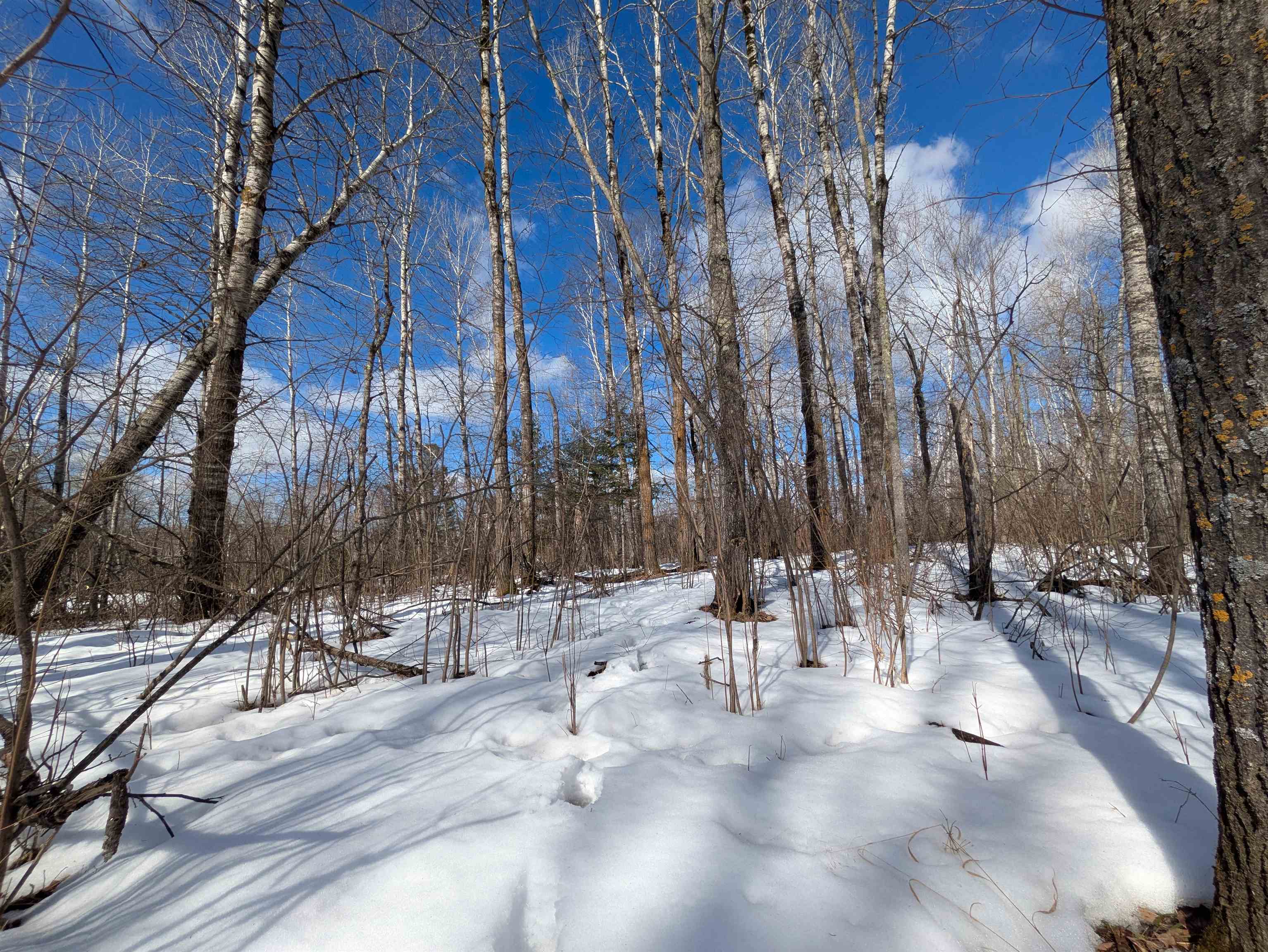 103 County Road 103 Barnum, MN 55707 - Photo 12 of 13