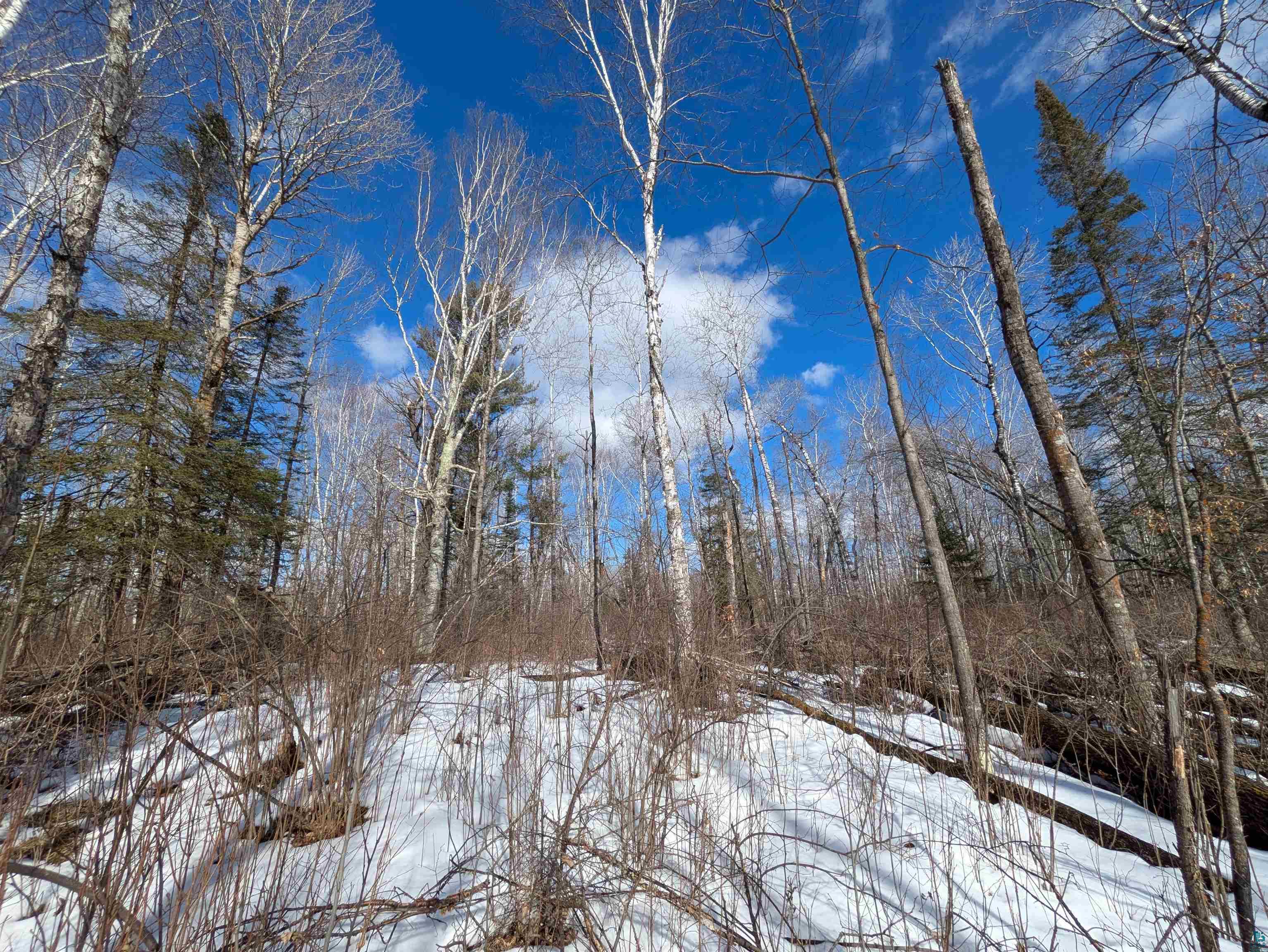 103 County Road 103 Barnum, MN 55707 - Photo 13 of 13