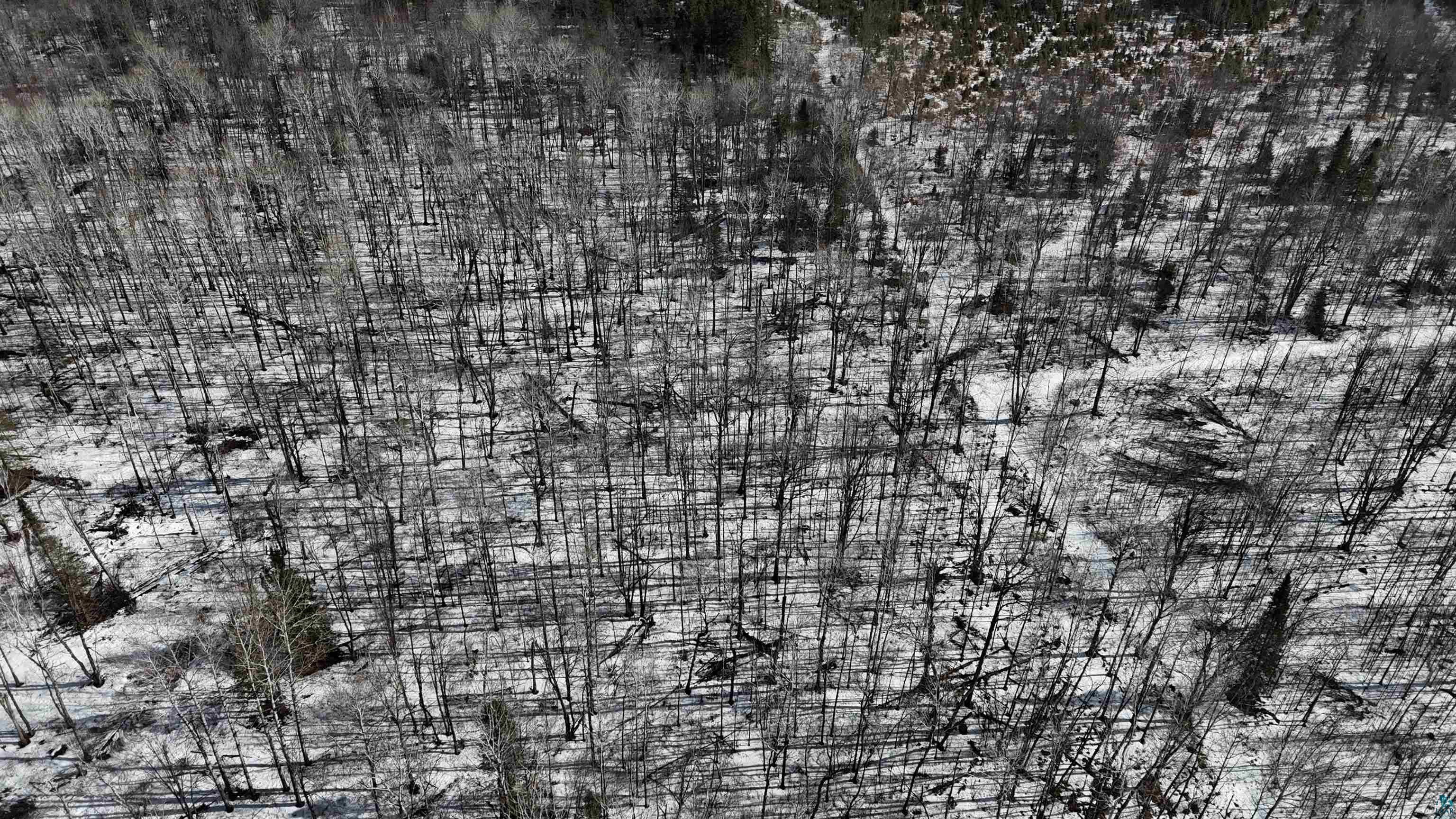 103 County Road 103 Barnum, MN 55707 - Photo 3 of 13