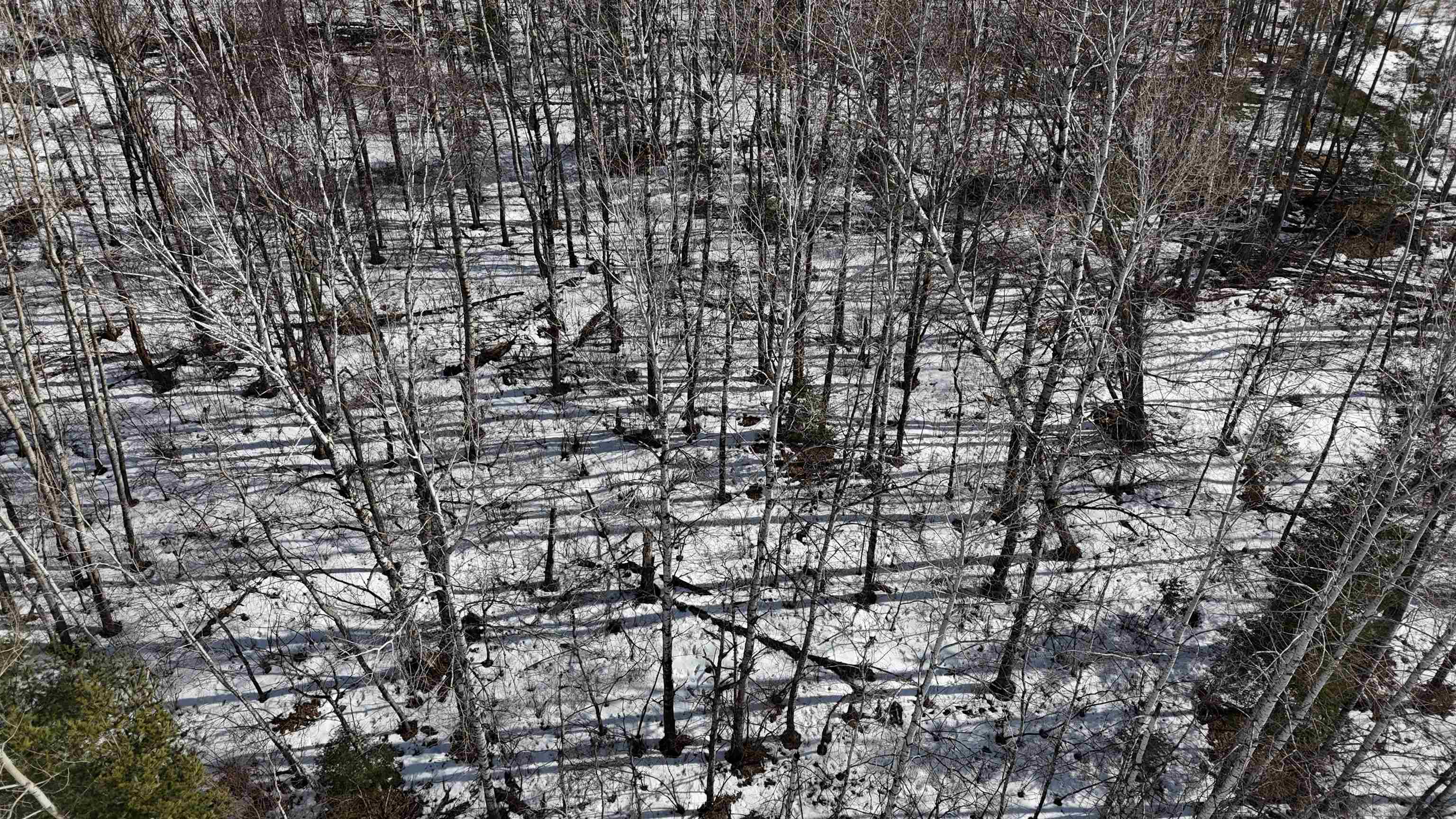 103 County Road 103 Barnum, MN 55707 - Photo 7 of 13