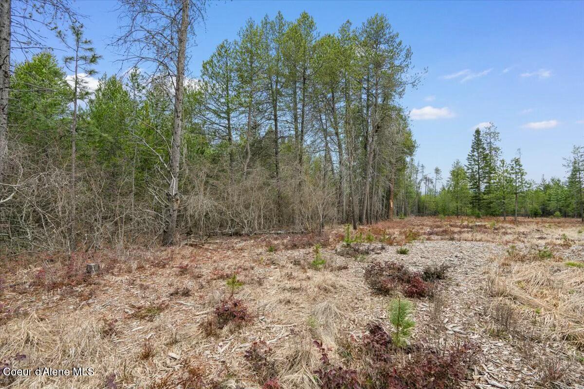 Nka East Trinity Lane Athol, ID 83801 - Photo 12 of 12 tempImage7TUHNe