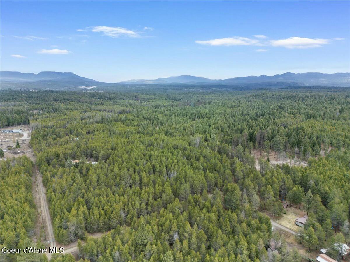 Nka East Trinity Lane Athol, ID 83801 - Photo 4 of 12 tempImagefnb5A1