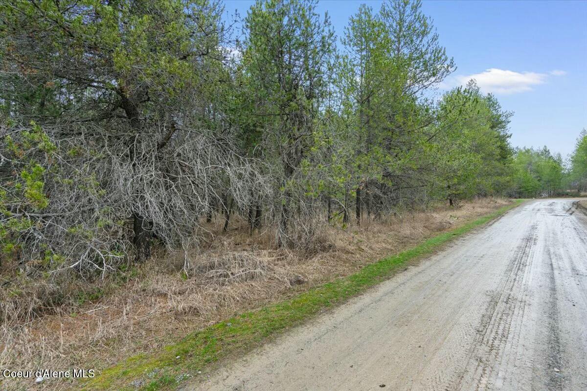 Nka East Trinity Lane Athol, ID 83801 - Photo 6 of 12 tempImage87nNtf