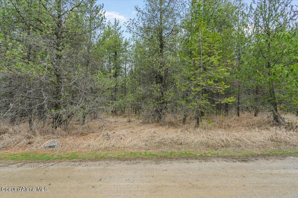 Nka East Trinity Lane Athol, ID 83801 - Photo 8 of 12 tempImageayxeeh