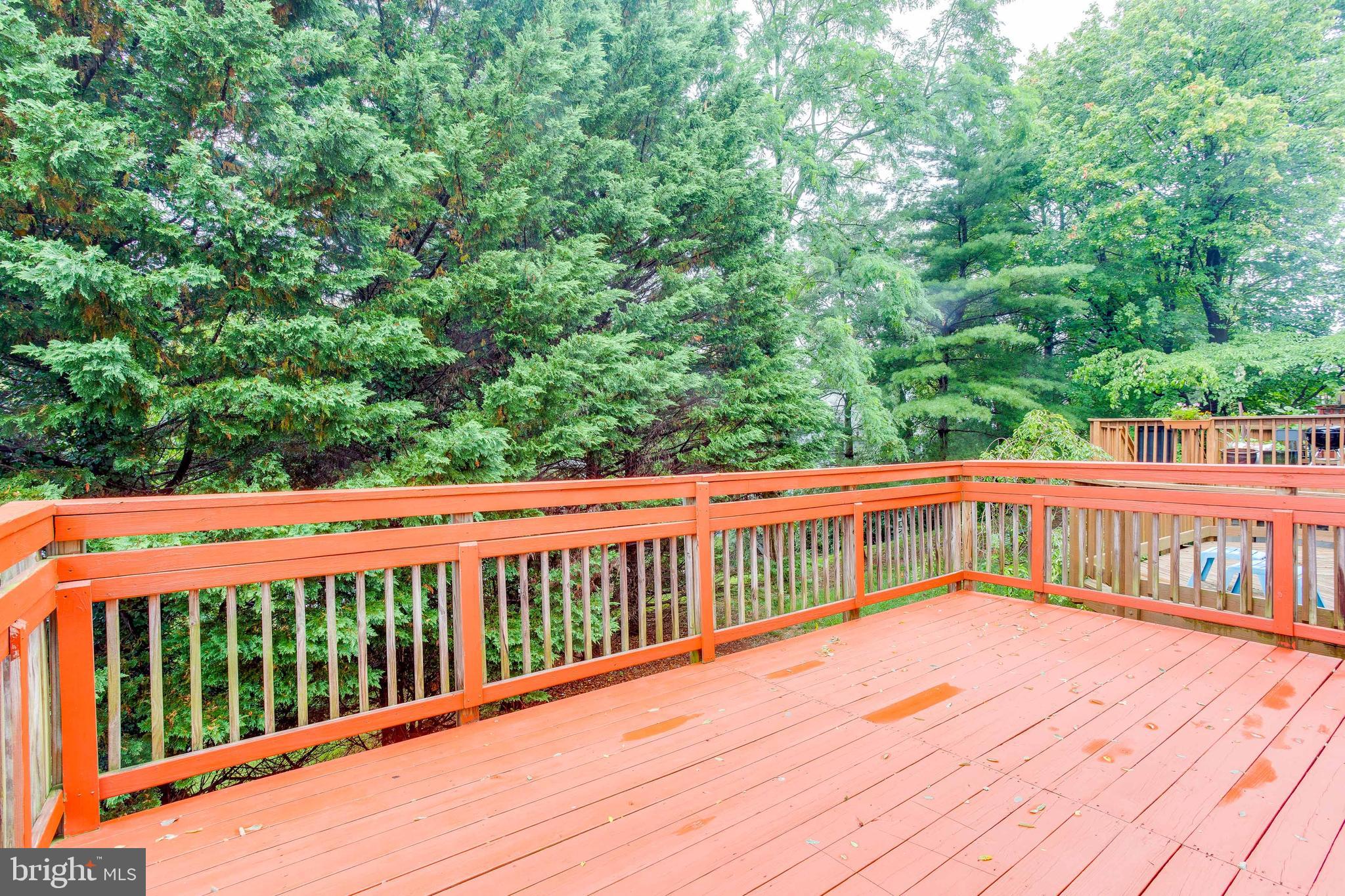 1011 Mondrian Terrace Silver Spring, MD 20904 - Photo 32 of 35