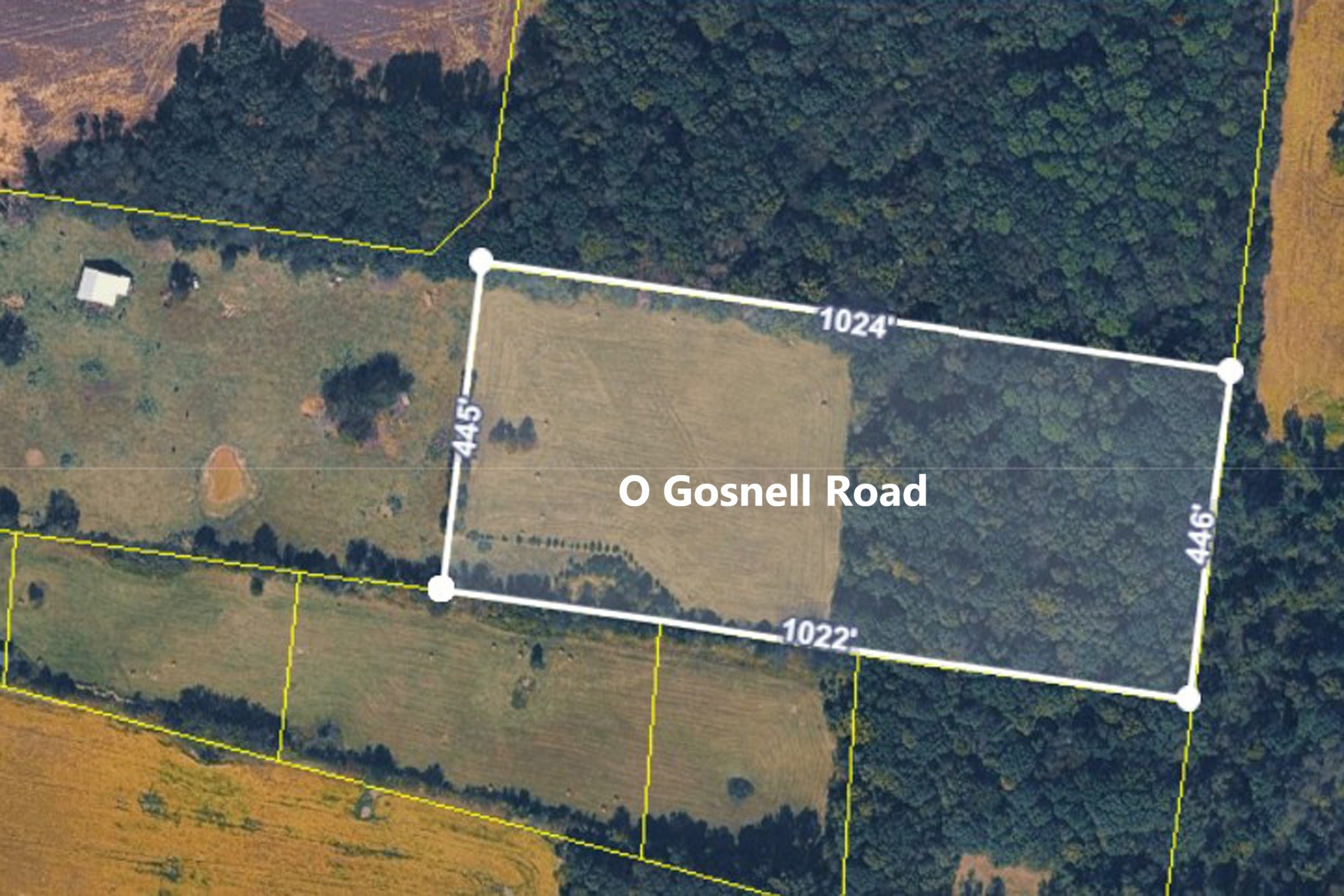 0 Gosnell Road Franklin, KY 42134 - Photo 5 of 7