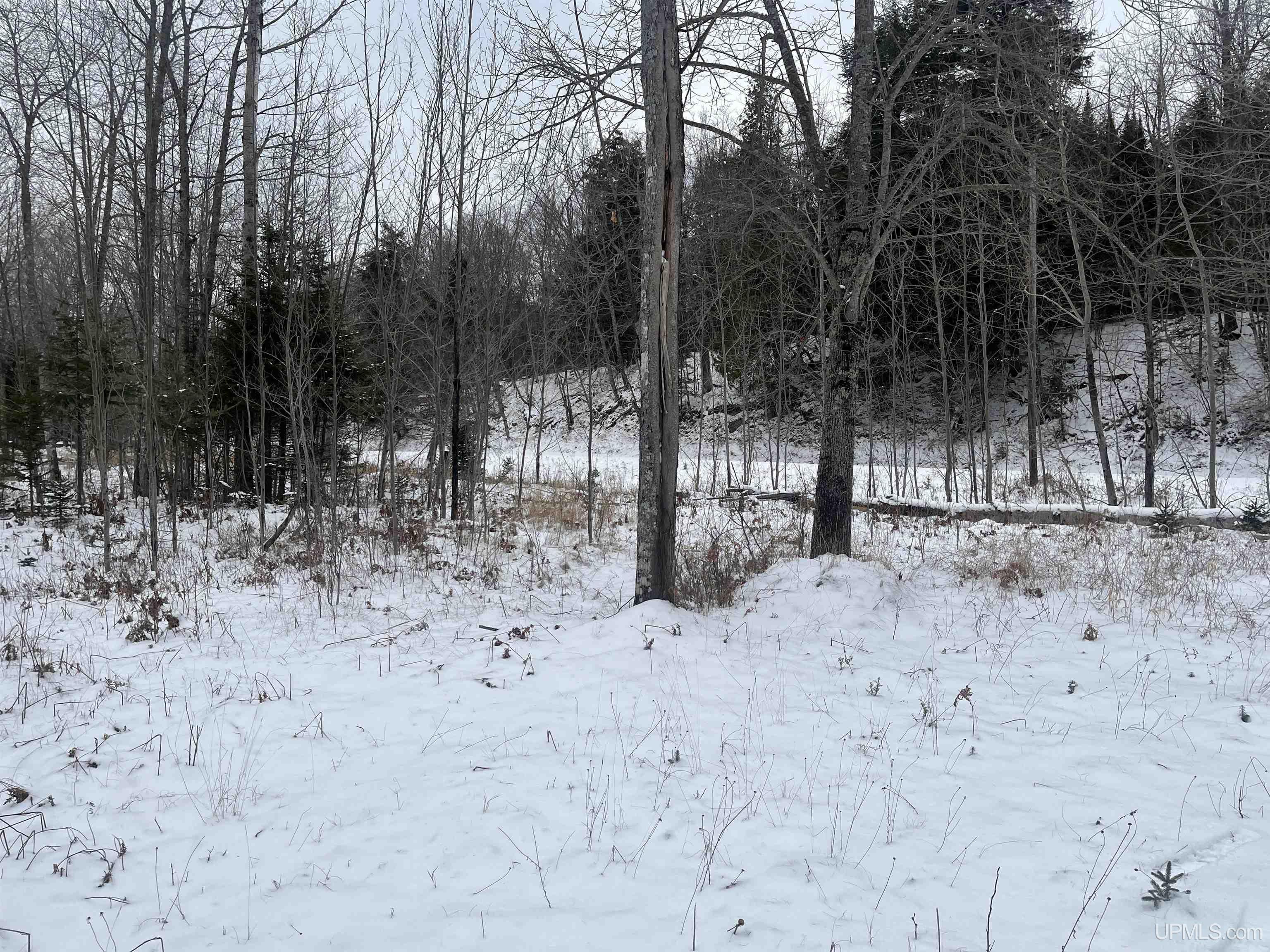 3 Eagles Nest Road Marquette, MI 49855 - Photo 14 of 20