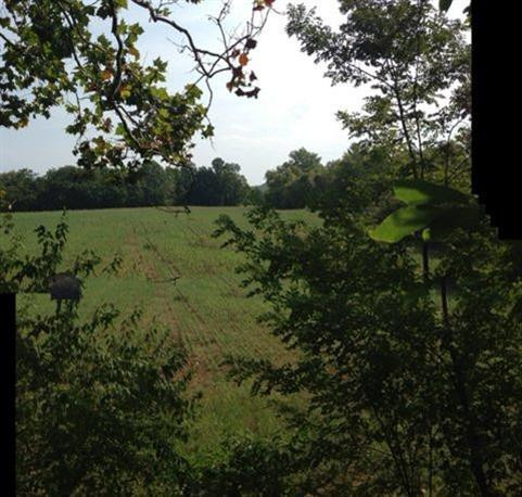 2640 Fords Mill Road Dry Ridge, KY 41035 - Photo 26 of 30