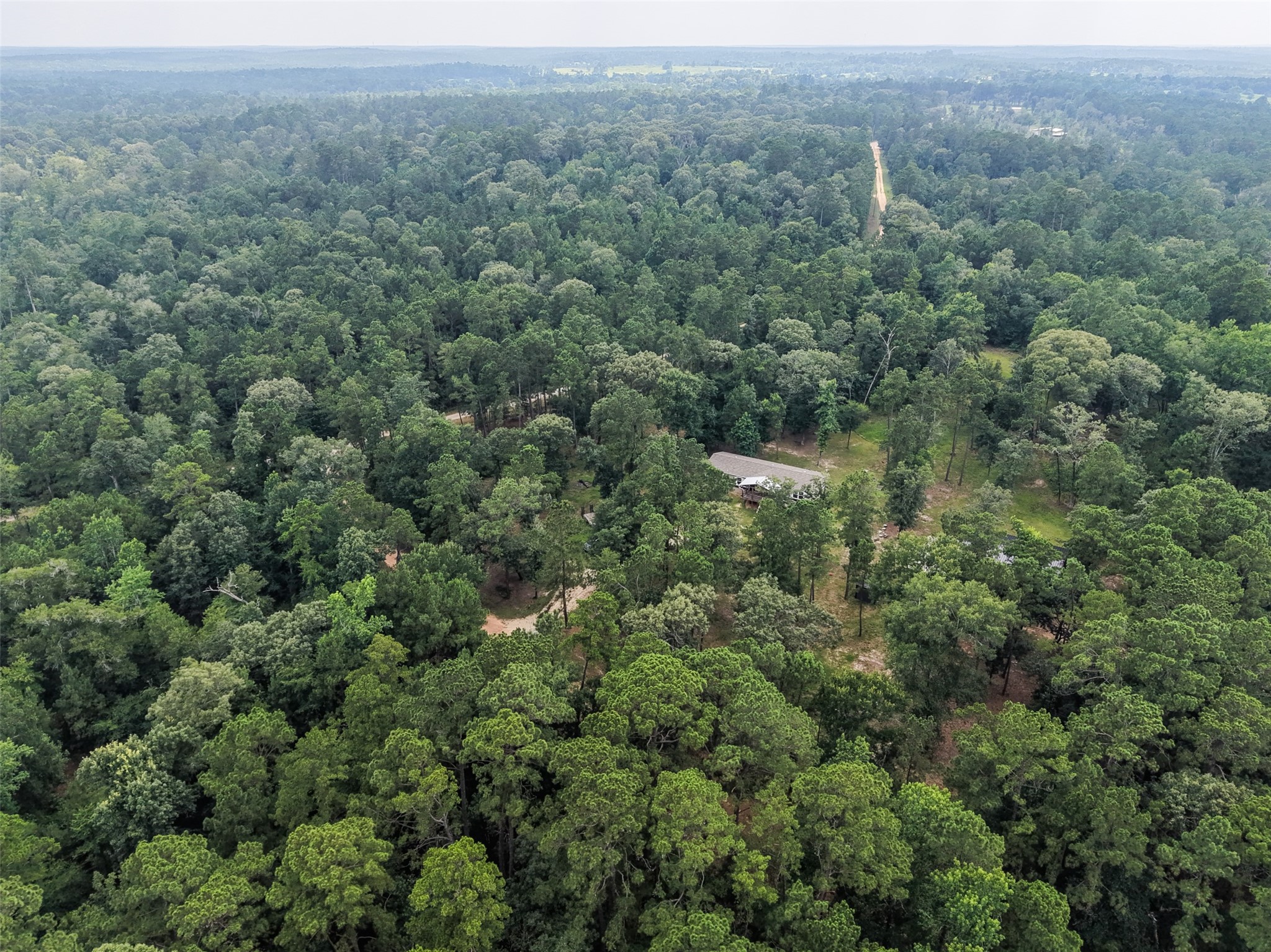 577 Winding River Road South Oakhurst, TX 77359 - Photo 36 of 44