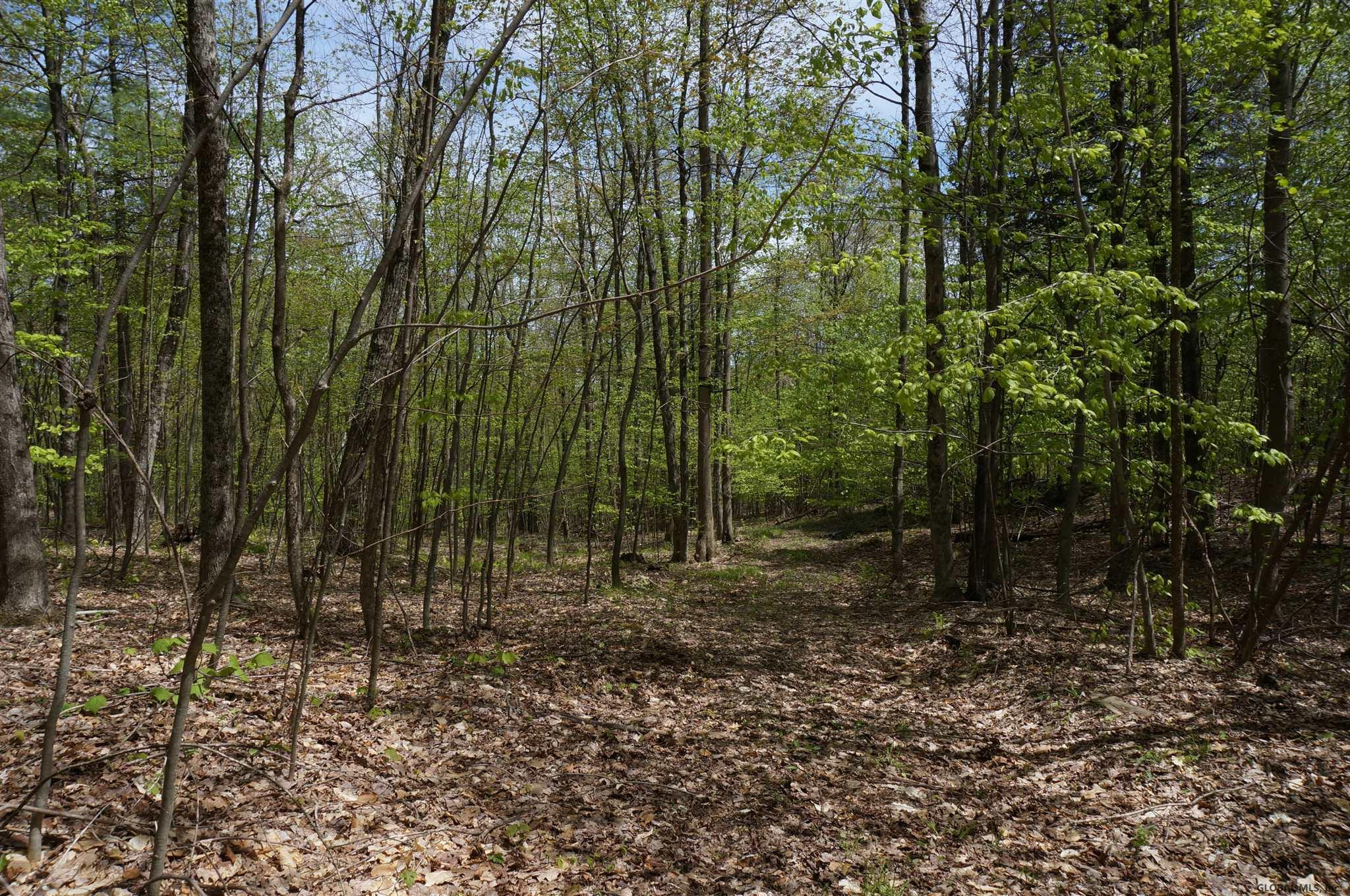 0 Patterson Hill Road Salem, NY 12865 - Photo 14 of 20 Photo 14