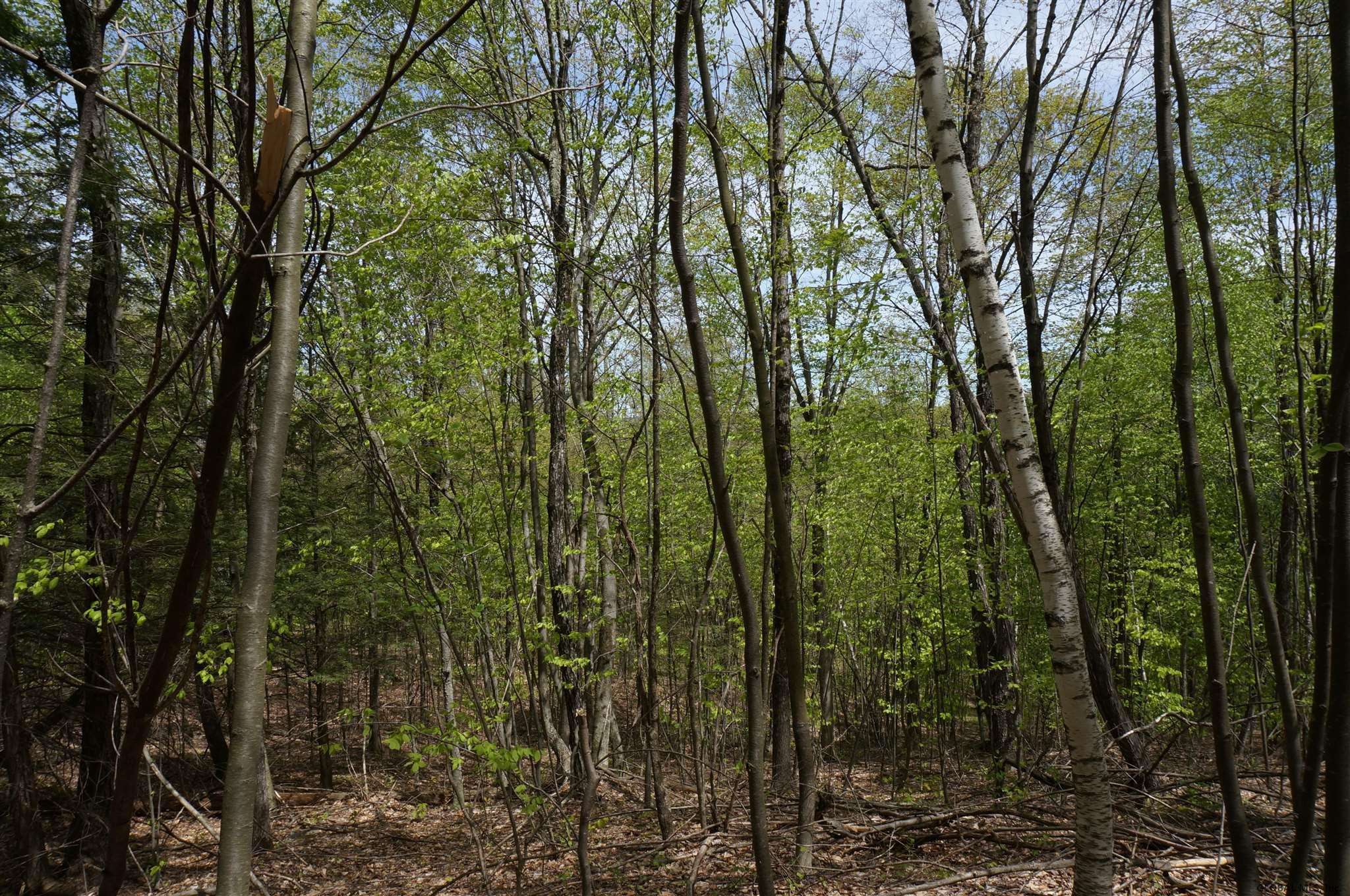 0 Patterson Hill Road Salem, NY 12865 - Photo 17 of 20 Photo 17