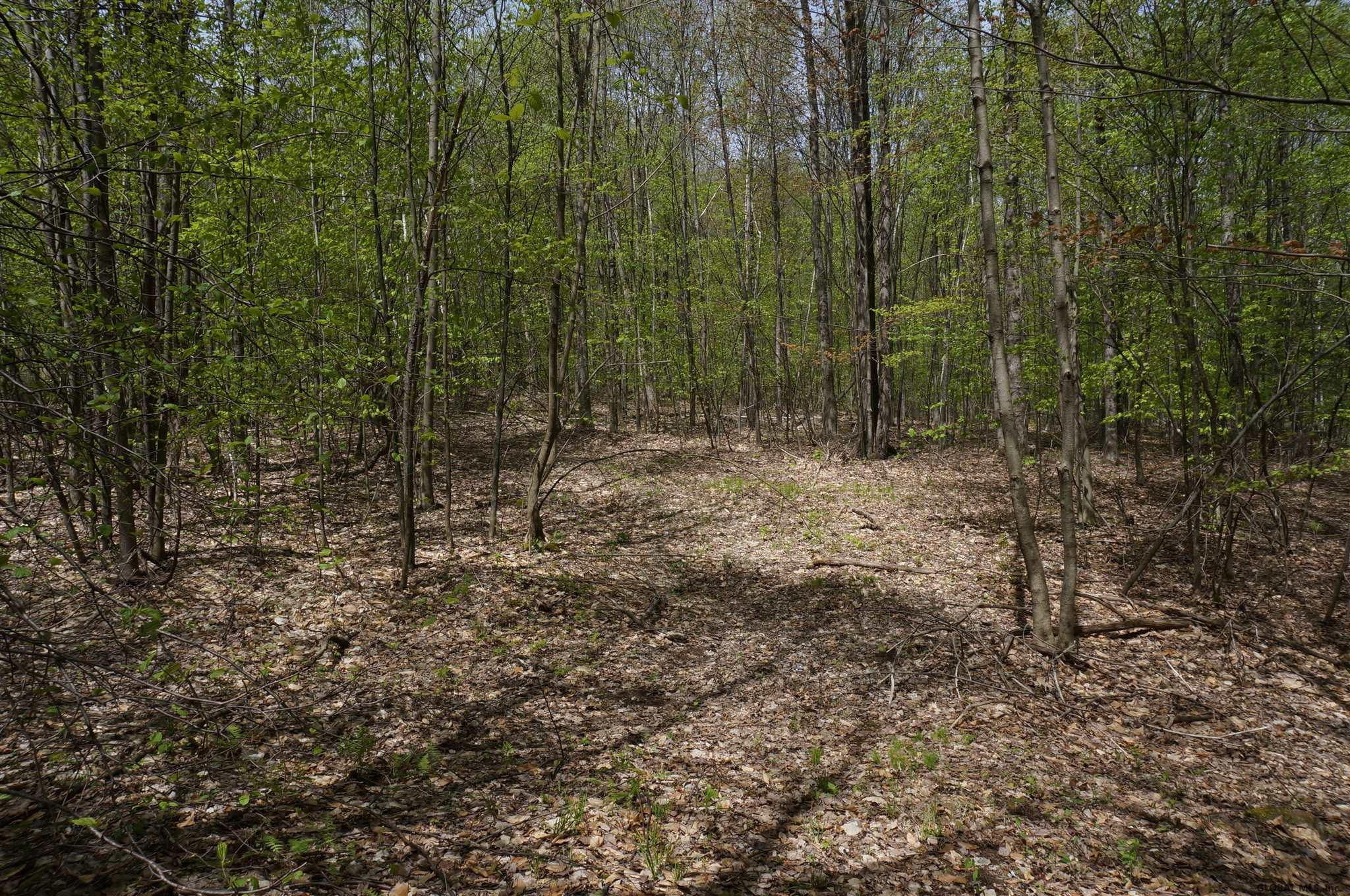 0 Patterson Hill Road Salem, NY 12865 - Photo 20 of 20 Photo 20