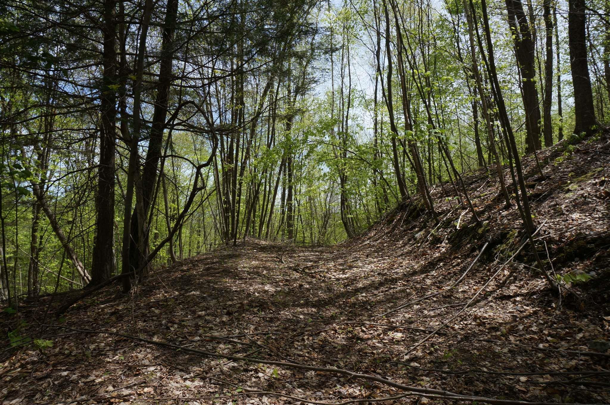 0 Patterson Hill Road Salem, NY 12865 - Photo 8 of 20 Photo 8