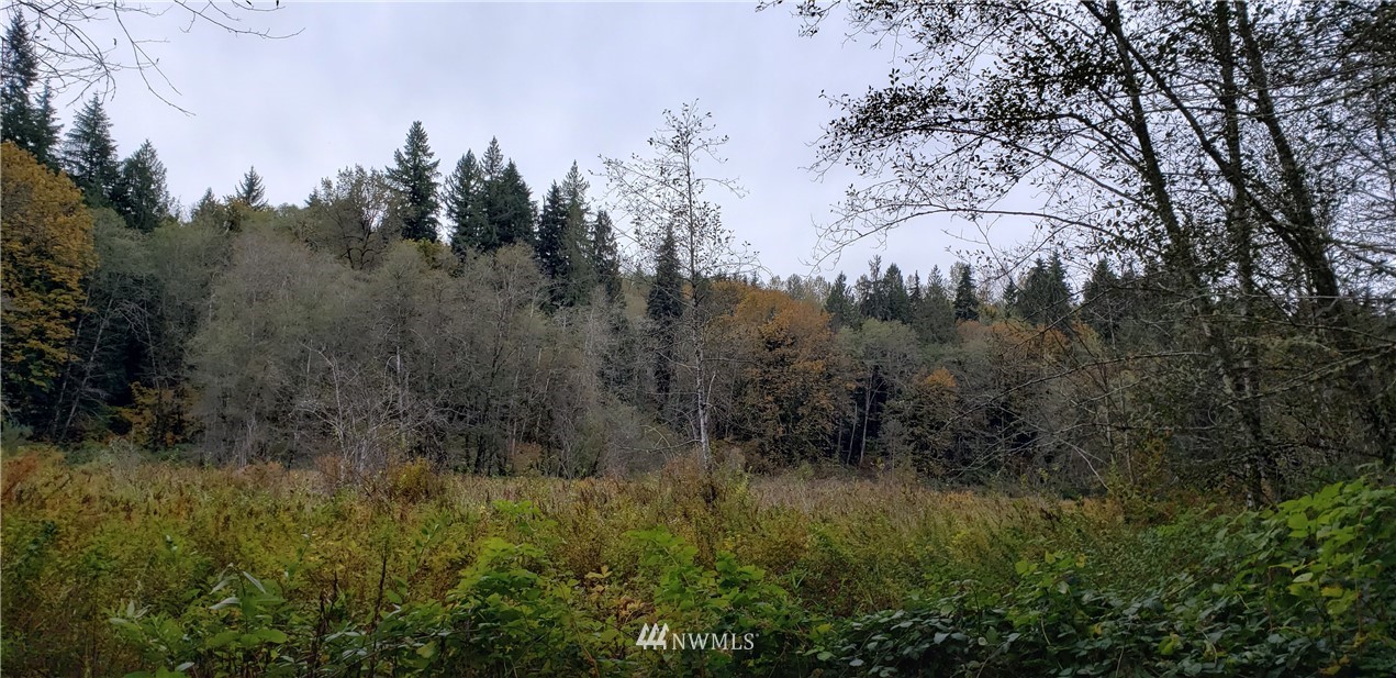 208-xx North Carpenter Road Snohomish, WA 98290 - Photo 13 of 23 Gallery Image 13