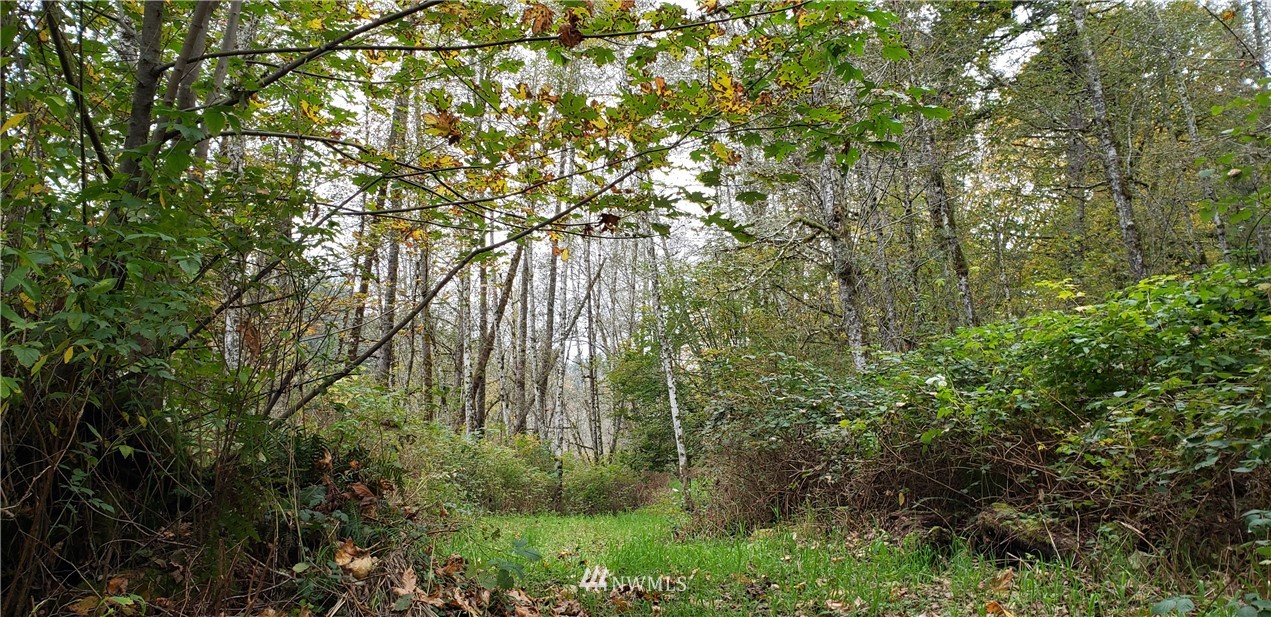 208-xx North Carpenter Road Snohomish, WA 98290 - Photo 14 of 23 Gallery Image 14