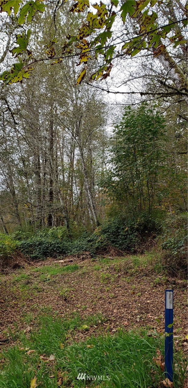208-xx North Carpenter Road Snohomish, WA 98290 - Photo 15 of 23 Gallery Image 15