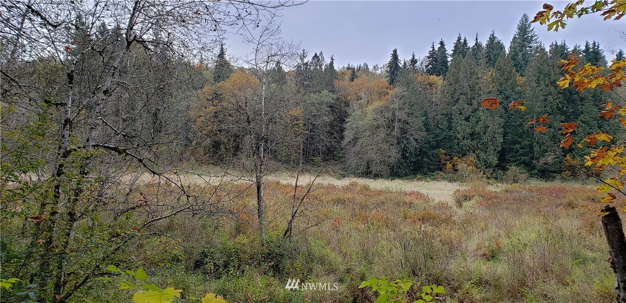 208-xx North Carpenter Road Snohomish, WA 98290 - Photo 18 of 23 Gallery Image 18