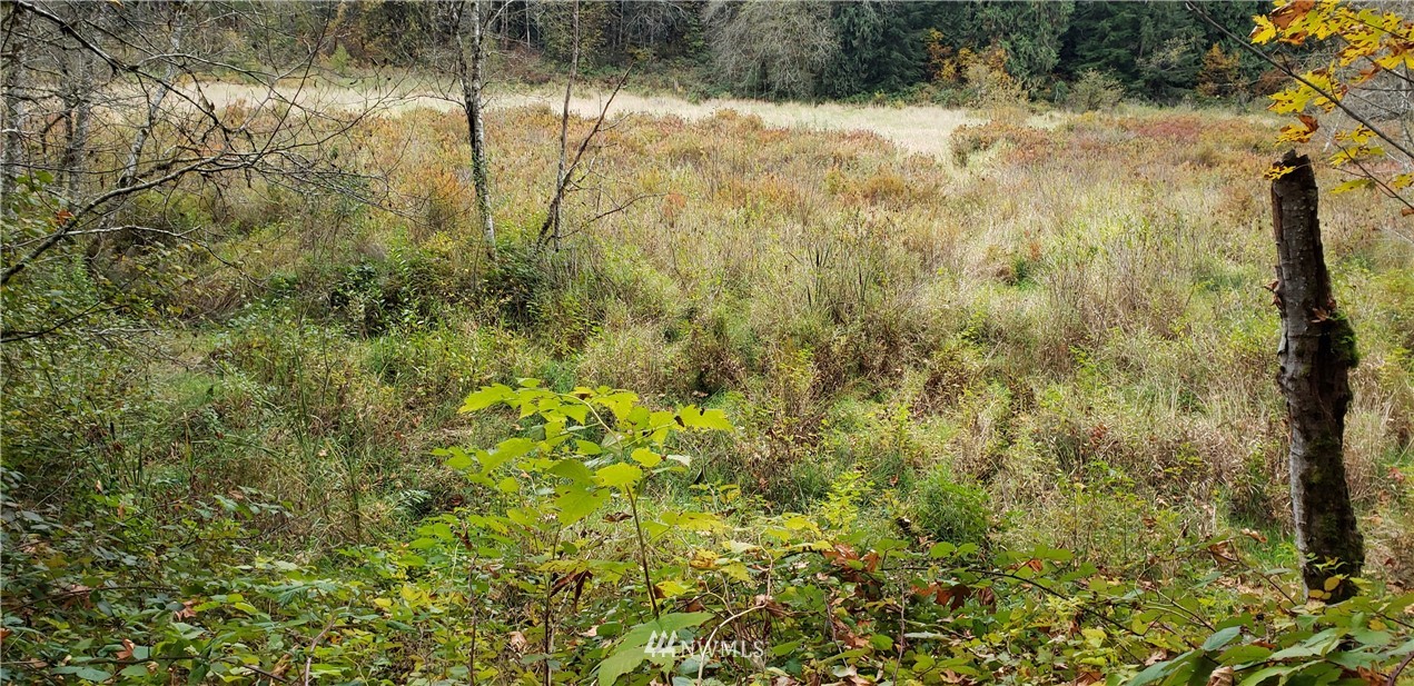 208-xx North Carpenter Road Snohomish, WA 98290 - Photo 19 of 23 Gallery Image 19