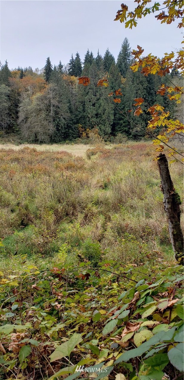 208-xx North Carpenter Road Snohomish, WA 98290 - Photo 20 of 23 Gallery Image 20