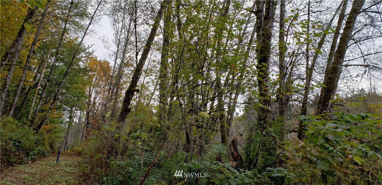 208-xx North Carpenter Road Snohomish, WA 98290 - Photo 22 of 23 Gallery Image 22