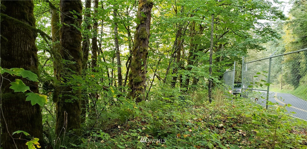 208-xx North Carpenter Road Snohomish, WA 98290 - Photo 5 of 23 Gallery Image 5