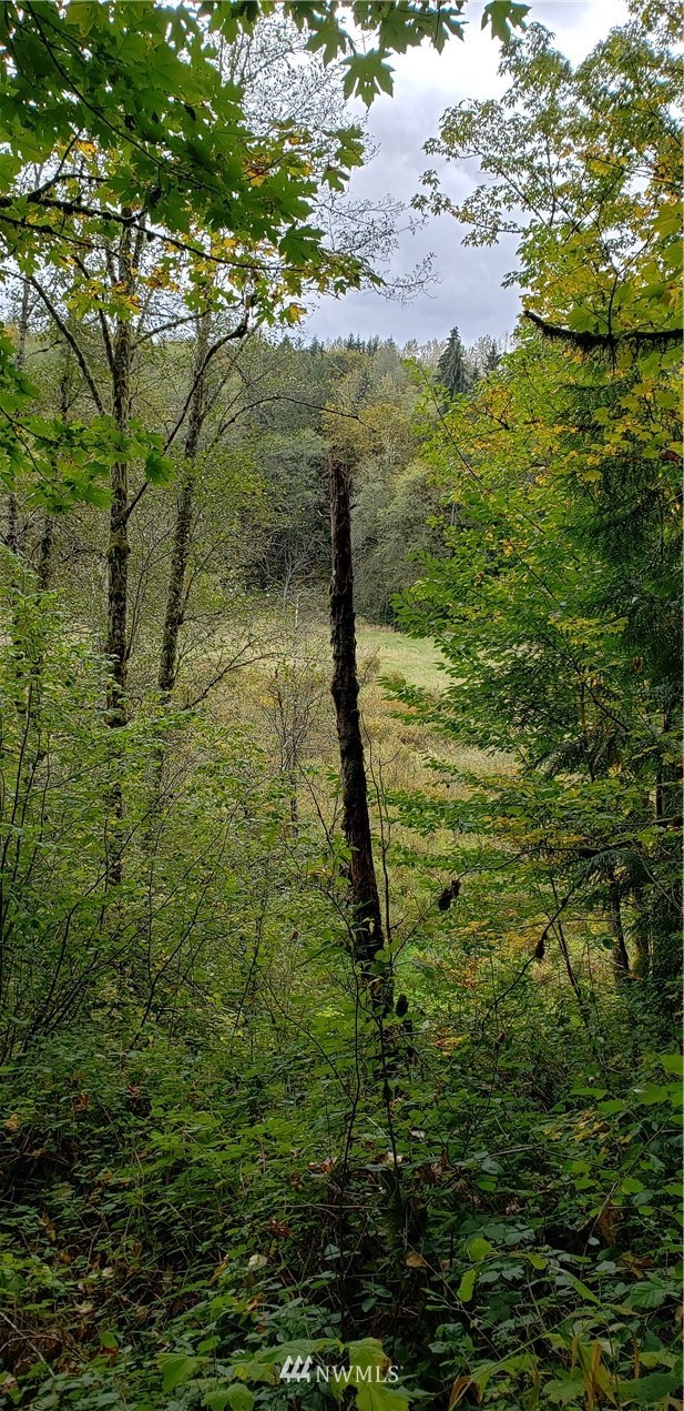 208-xx North Carpenter Road Snohomish, WA 98290 - Photo 7 of 23 Gallery Image 7