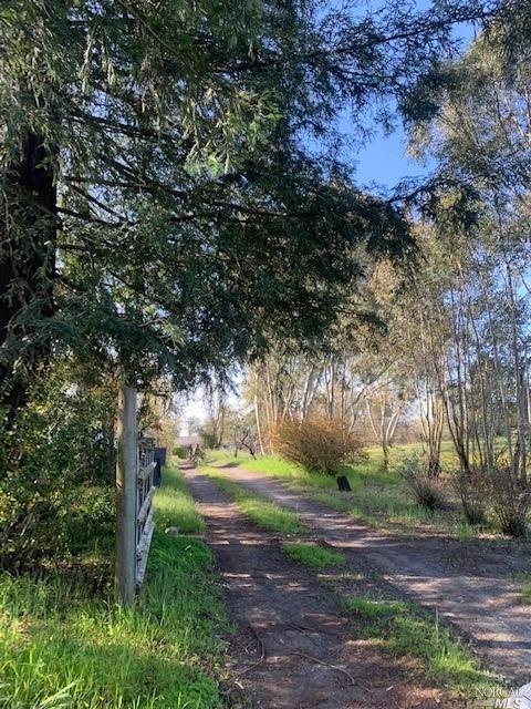 5640 Hall Road Santa Rosa, CA 95401 - Photo 1 of 1 a view of a yard with plants and trees