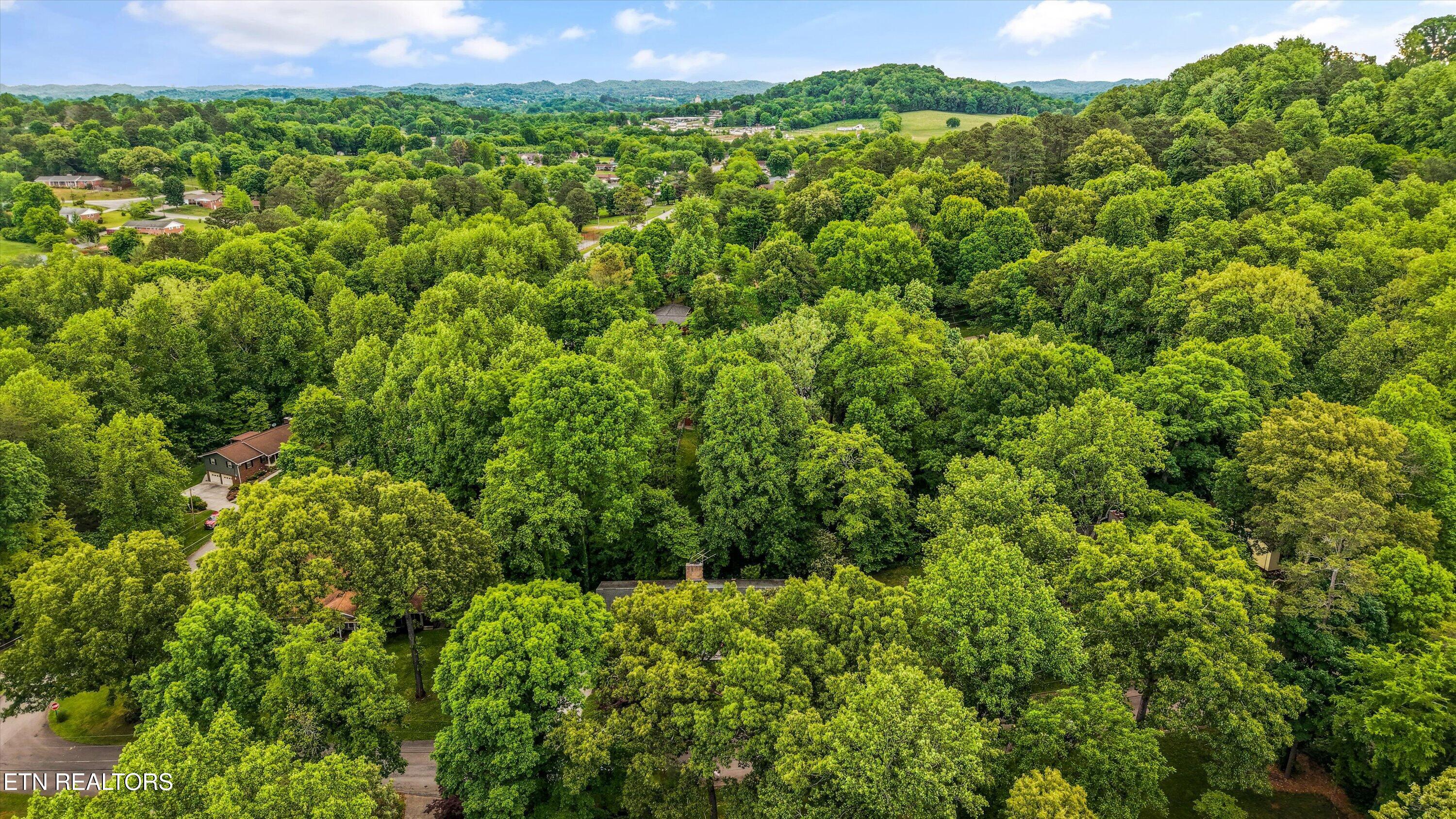 4420 Edgewood Road Louisville, TN 37777 - Photo 49 of 51 49-4420 Edgewood Rd 09