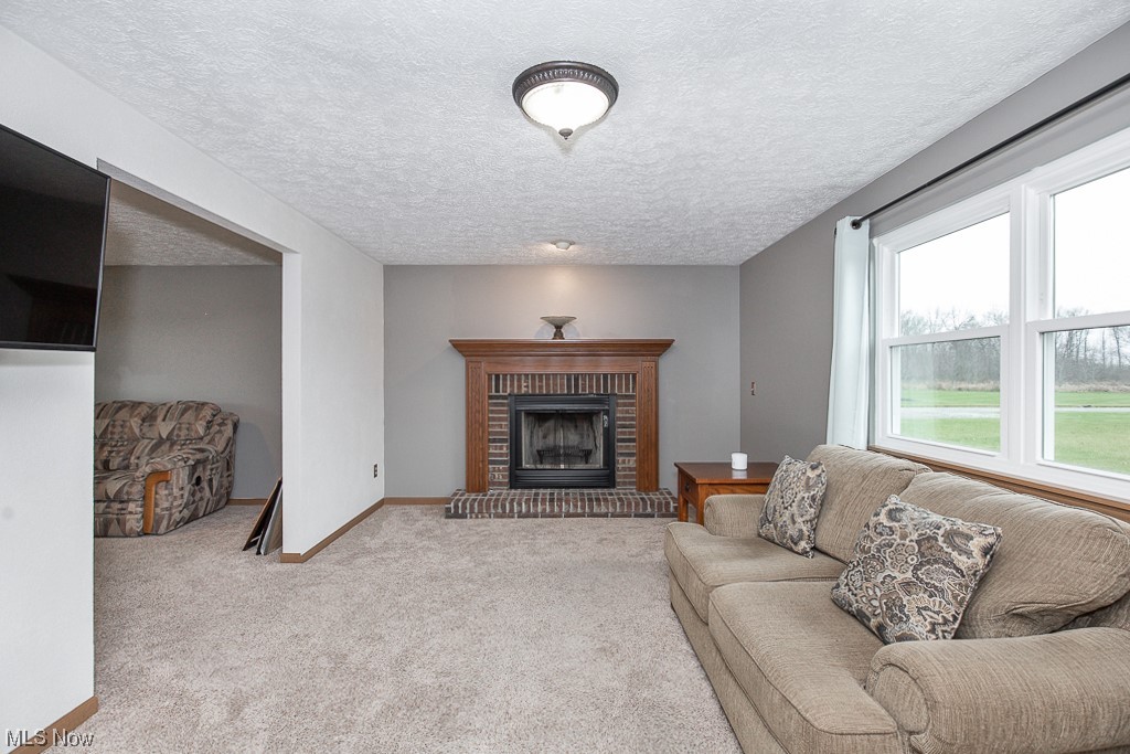 9708 Reed Road Grafton, OH 44044 - Photo 8 of 35 Family room featuring a textured ceiling, light colored carpet, and a fireplace