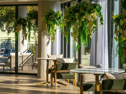 a living room with furniture and a potted plant