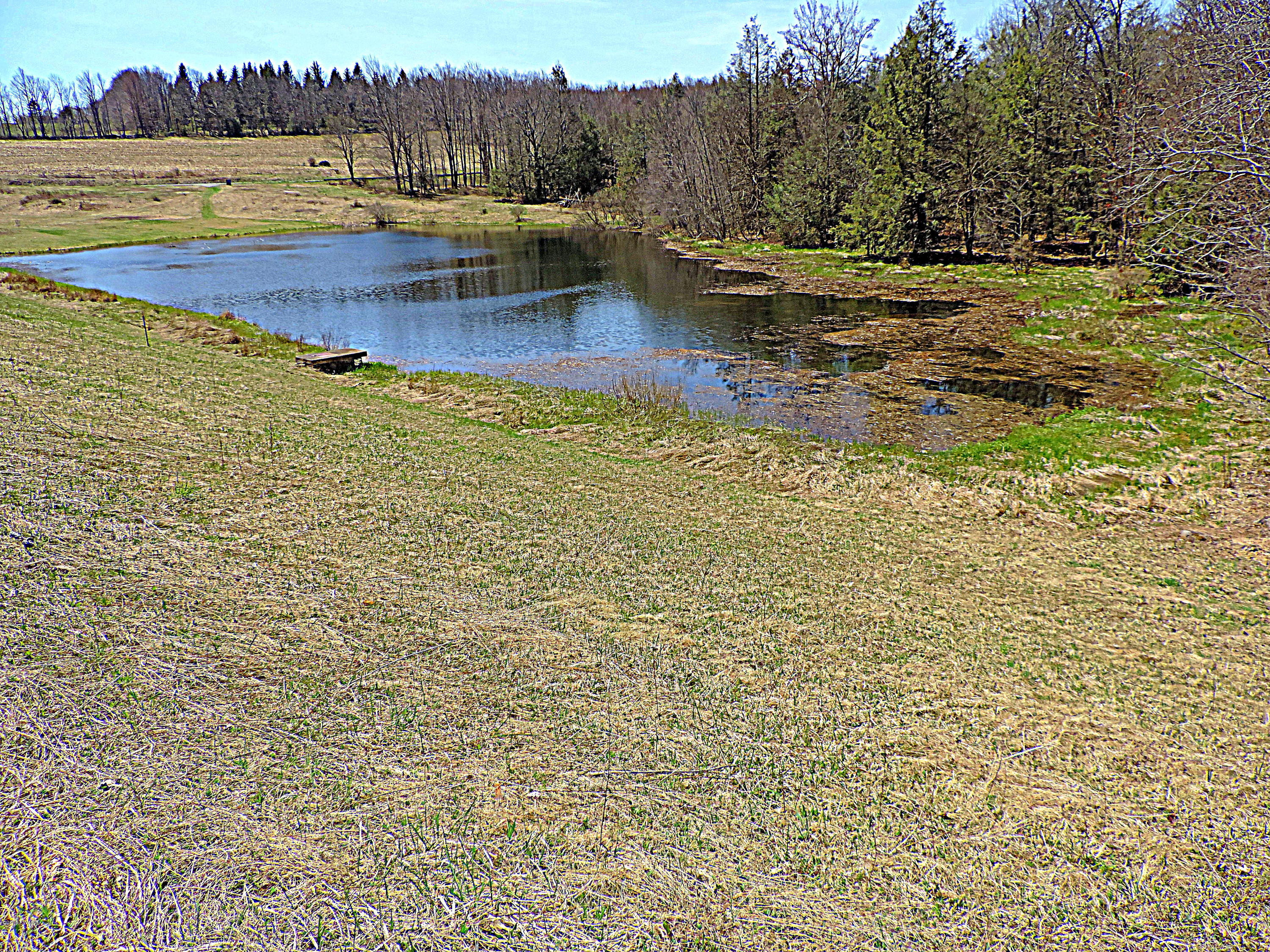 441 Huckleberry Road Newfoundland, PA 18445 - Photo 53 of 58