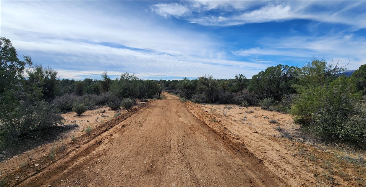10116 East Hidden Valley Road Kingman, AZ 86401 - Photo 11 of 58 a view of a dry yard with trees
