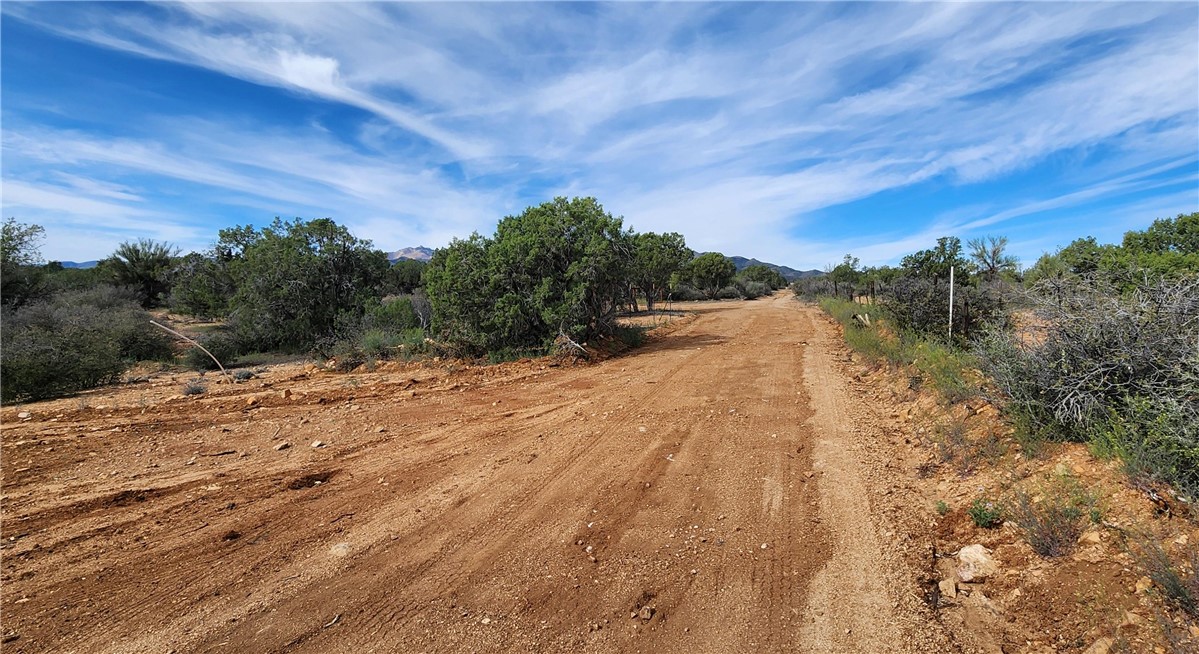 10116 East Hidden Valley Road Kingman, AZ 86401 - Photo 14 of 58 a view of a dry yard