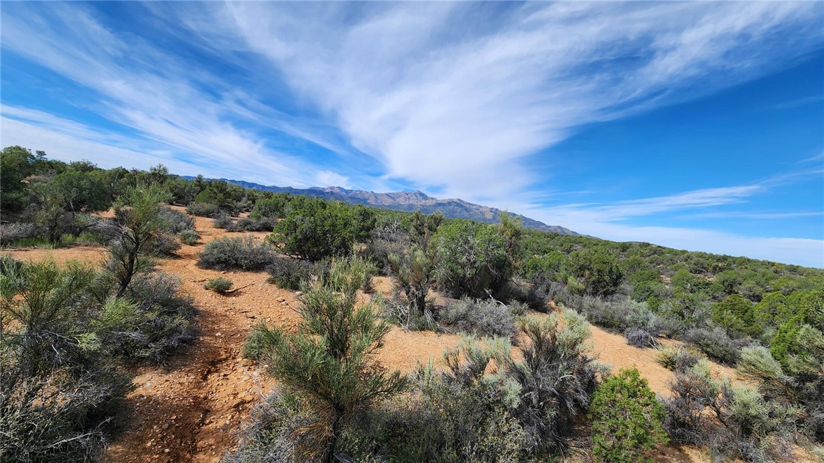 10116 East Hidden Valley Road Kingman, AZ 86401 - Photo 48 of 58 a view of a city with lush green forest