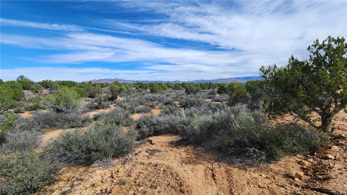10116 East Hidden Valley Road Kingman, AZ 86401 - Photo 49 of 58 a view of a pathway both side of a forest with lots of trees