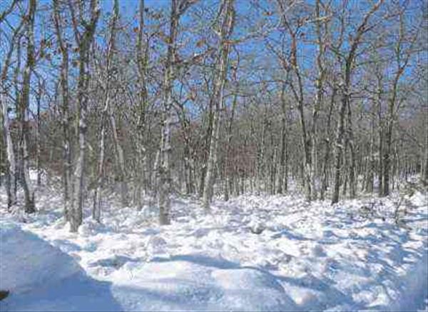 28 Fishermans Knot Road Edgartown, MA 02539 - Photo 1 of 1 http://d1qzqeyxiitrap.cloudfront.net/photos/9623/600/e56498a3.jpg