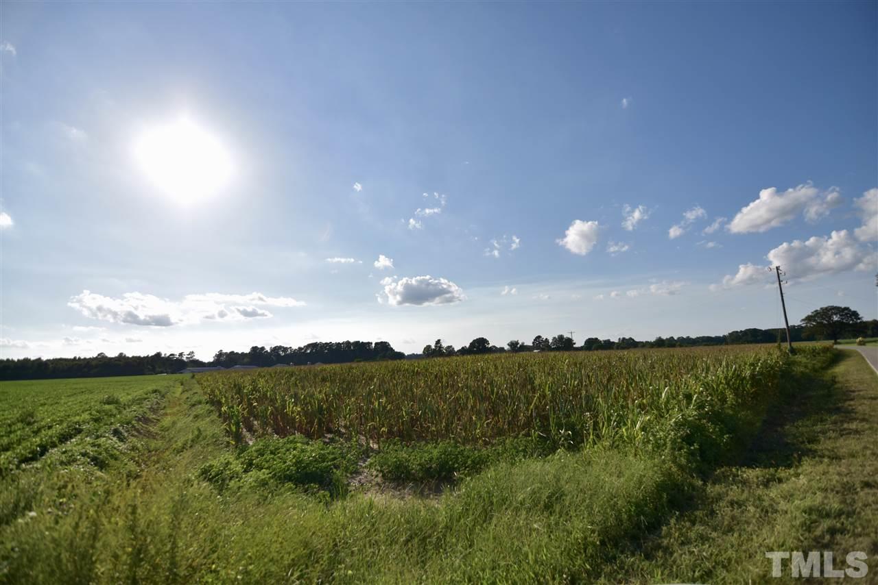 Lot 1 Mingo Church Road Godwin, NC 28344 - Photo 15 of 16 a view of a city
